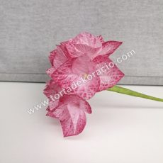 Ostyavirág - Hortenzia, rózsaszín